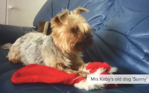 Mrs Kirbys dog